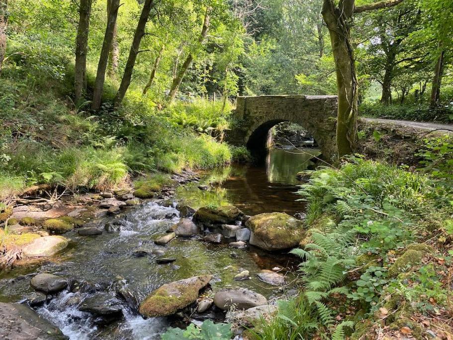 Bear Cottage, Tyn Y Cwm Eglwys-Fach Eksteriør bilde